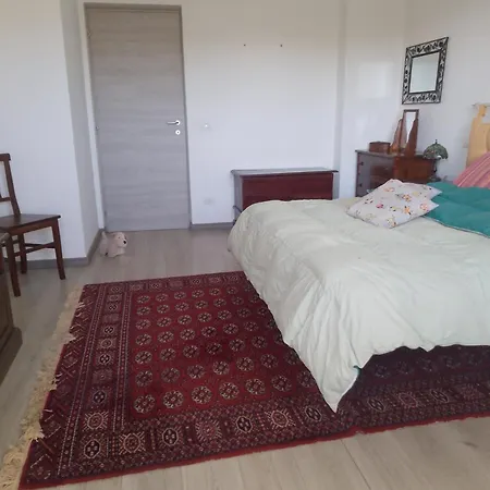 Rent Stanza Pansiyon Olbia